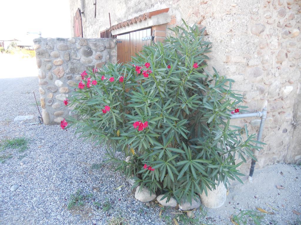 明乔河畔的瓦雷奇奥Agriturismo Le Mura Del Gherlo别墅 外观 照片